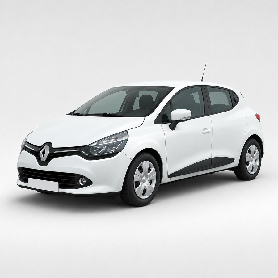 Peinture carrosserie brillant direct 2K Renault 369 Blanc Glacier - 4 kg